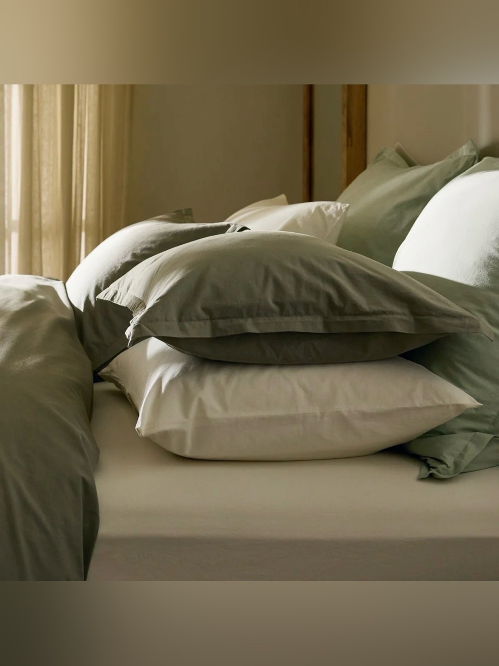 Parachute Percale Sham Set
